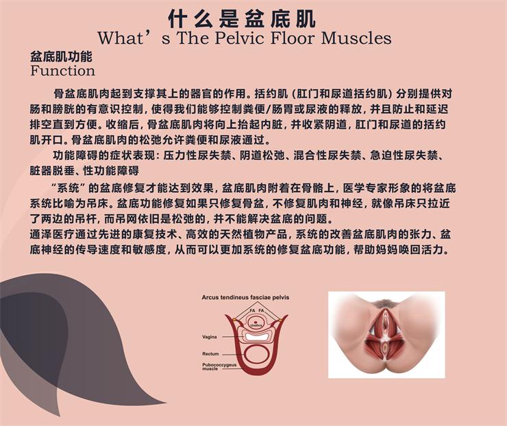 盆底肌修復儀器，能用于骨盆修復嗎？