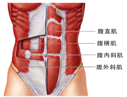 腹直肌分離，它附近的肌肉是什么？