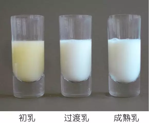 母乳營(yíng)養(yǎng)成分檢測(cè)，母乳分析儀的好處您知多少？