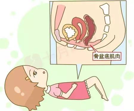 盆底康復(fù)治療有用嗎？為什么要做盆底肌修復(fù)？
