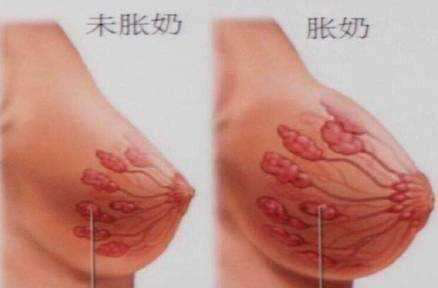 母乳分析和檢測儀器，教你如何緩解漲奶？