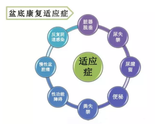 都在想盆底康復(fù)治療儀品牌，為何別人看的是盆底康復(fù)治療儀的功效與作用