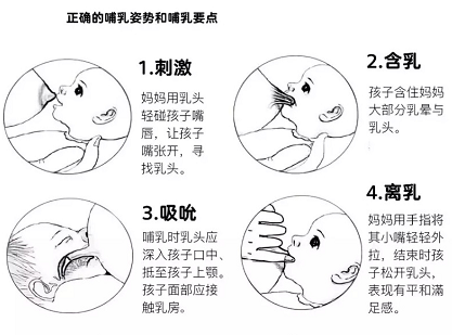 母乳檢測因人而異，但母乳分析儀產(chǎn)后修復(fù)中心必須具備