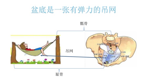 女性盆底康復(fù)要及時(shí)，否則抱憾終身，婦科盆底康復(fù)治療儀幫到您