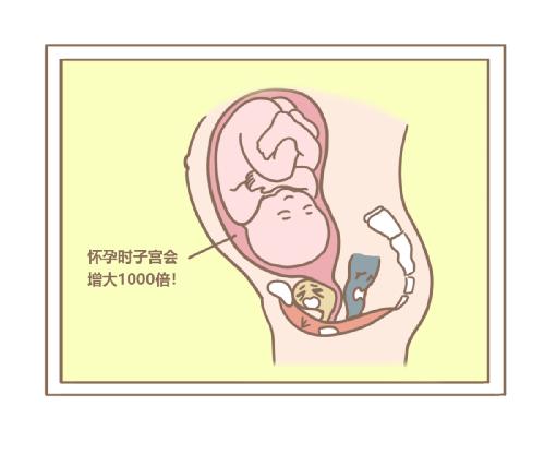 產后肥胖能用盆底肌修復儀器治療嗎？